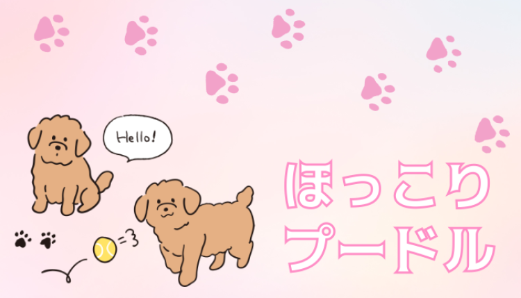 カワイイがいっぱい！ワンダーランド